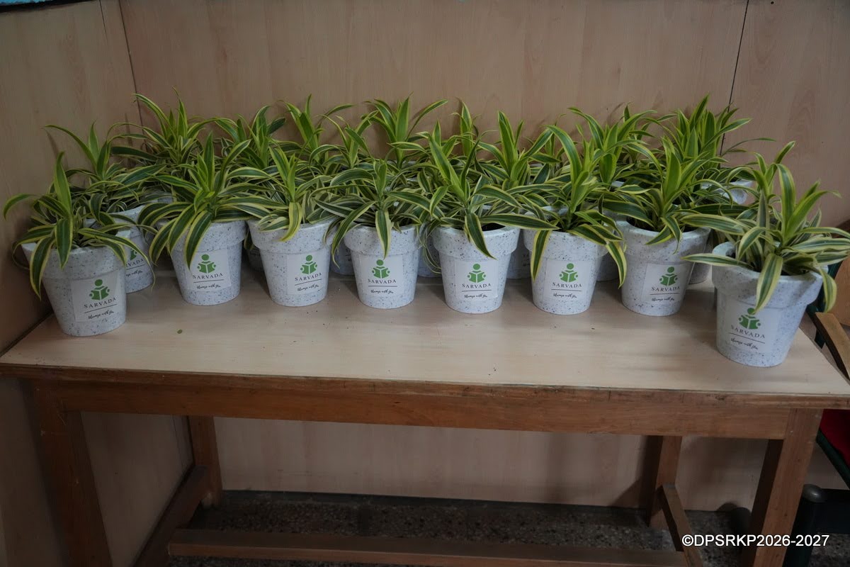 Sarvada-branded plant gifts